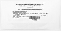 Image Associated With the Occurence